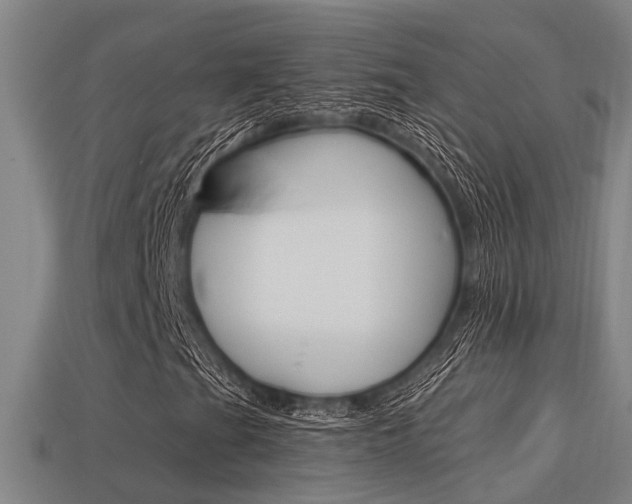 X0000113341201200909150958