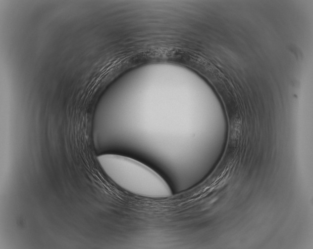 X0000113341202200909150958