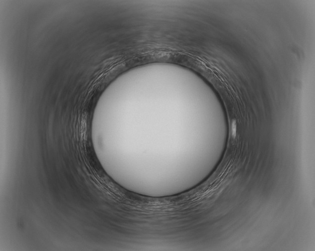 X0000113341203200909150958