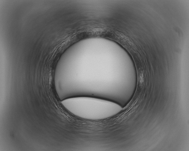X0000113341204200909150958