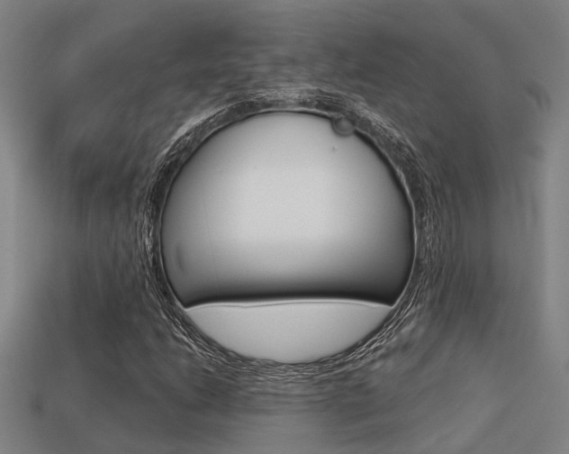 X0000113341206200909150958