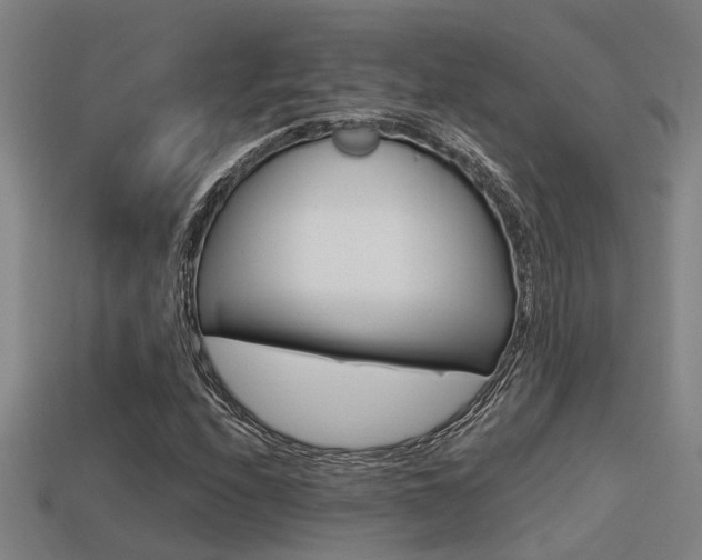 X0000113341208200909150958