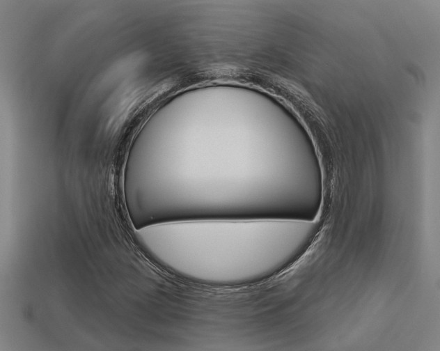 X0000113341209200909150958