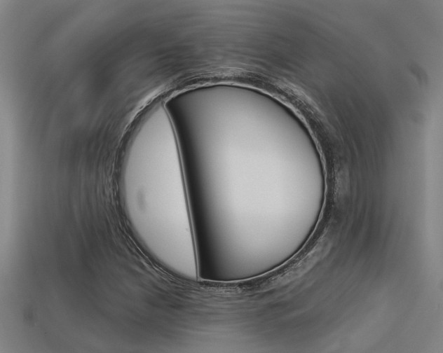 X0000113341210200909150958