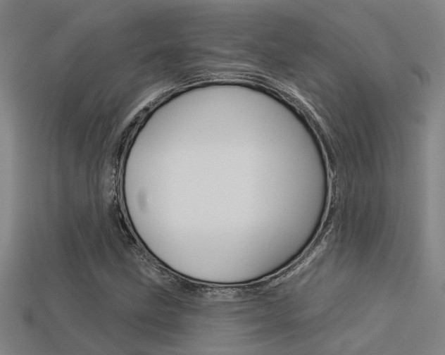 X0000113341211200909150958