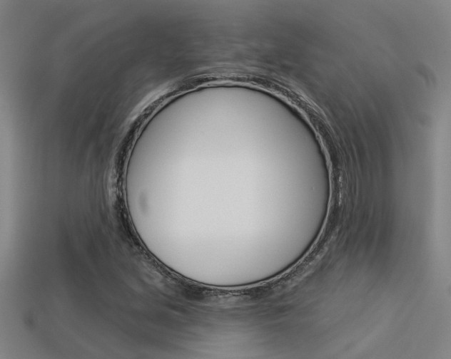X0000113341213200909150958