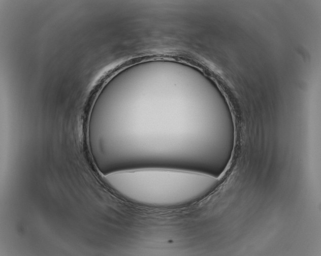 X0000113341214200909150958
