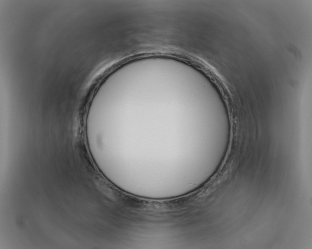 X0000113341215200909150958