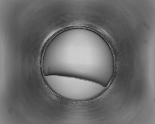 X0000113341216200909150958