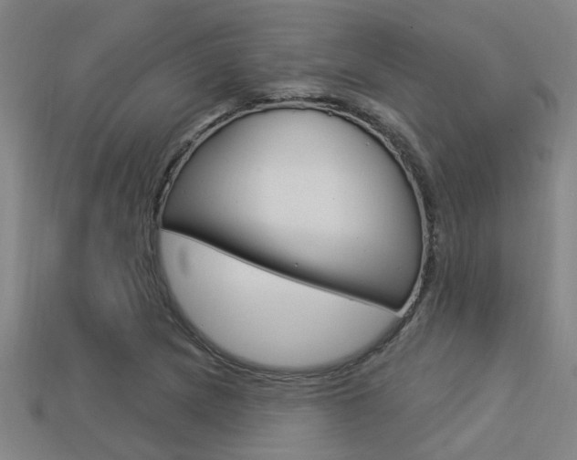 X0000113341217200909150958