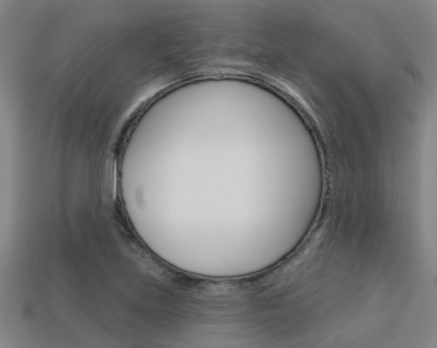 X0000113341219200909150958