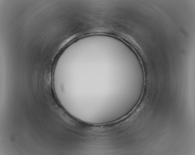 X0000113341220200909150958