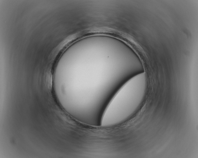 X0000113341221200909150958
