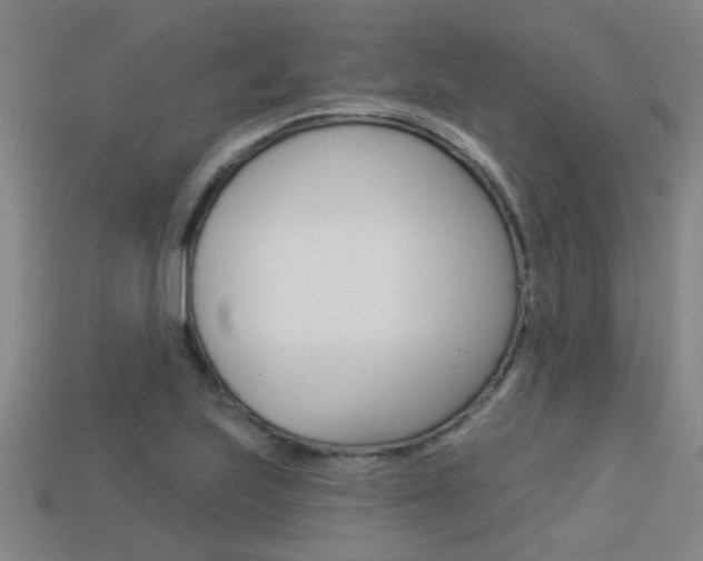 X0000113341223200909150958