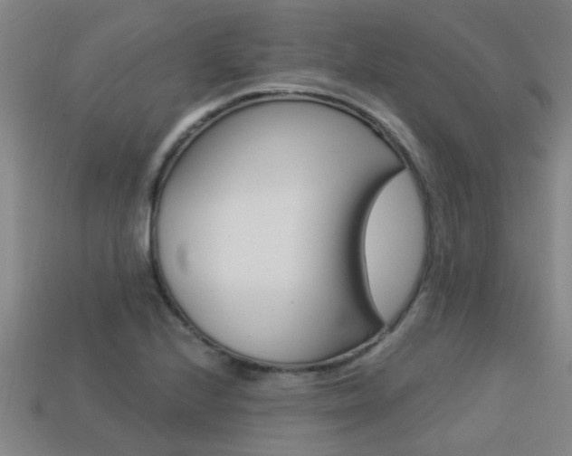 X0000113341224200909150958