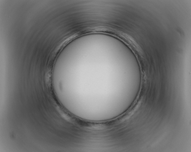 X0000113341225200909150958