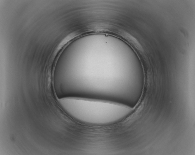 X0000113341226200909150958