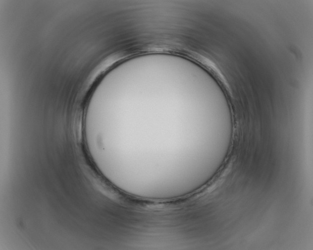 X0000113341227200909150958