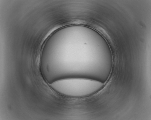 X0000113341228200909150958