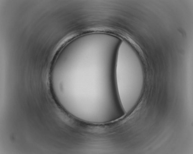 X0000113341229200909150958