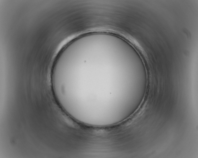 X0000113341230200909150958