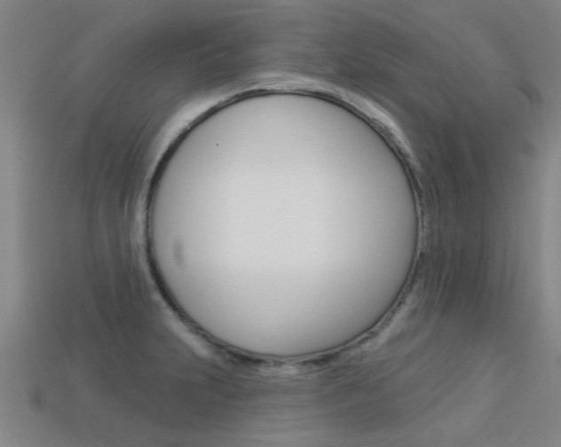 X0000113341231200909150958