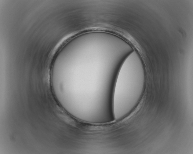 X0000113341232200909150958