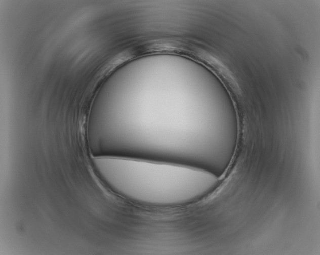 X0000113341233200909150958