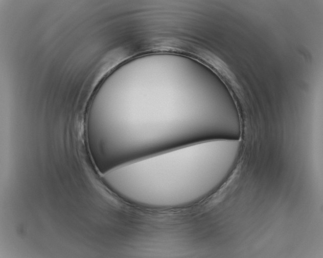 X0000113341234200909150958
