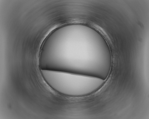 X0000113341236200909150958