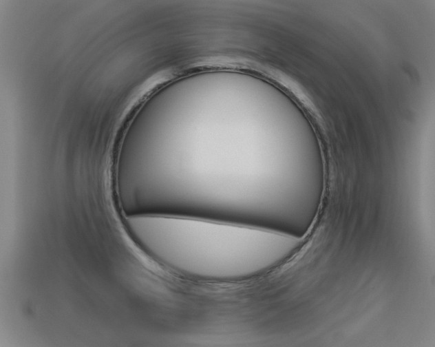 X0000113341237200909150958