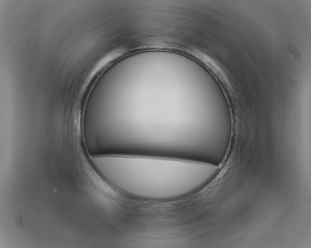 X0000113341238200909150958