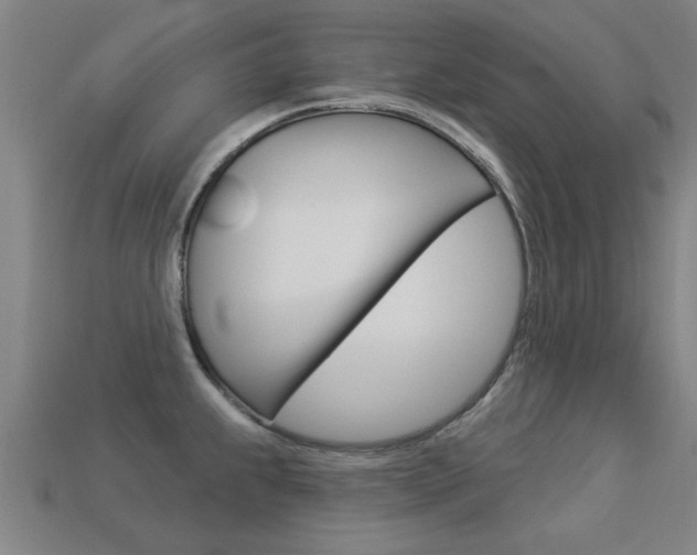 X0000113341239200909150958