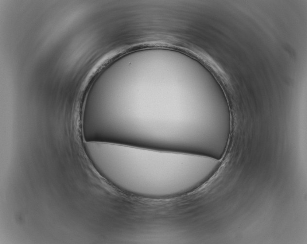 X0000113341240200909150959