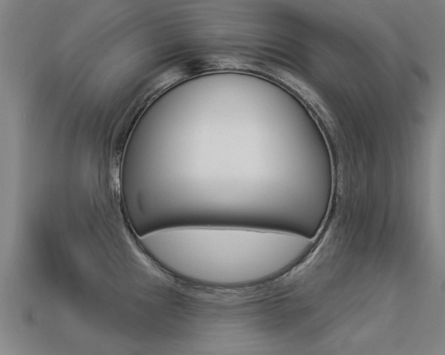 X0000113341241200909150959