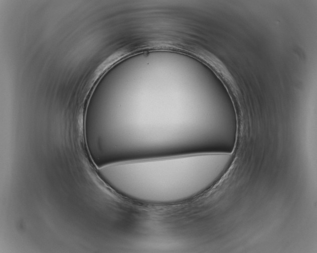 X0000113341242200909150959