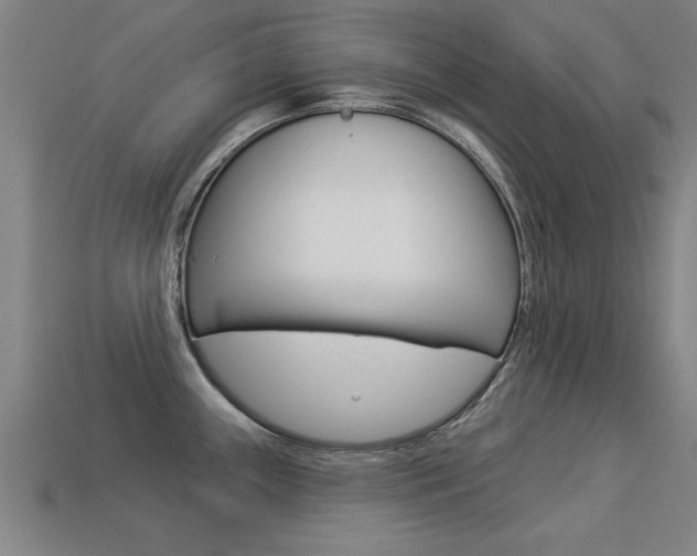 X0000113341243200909150959