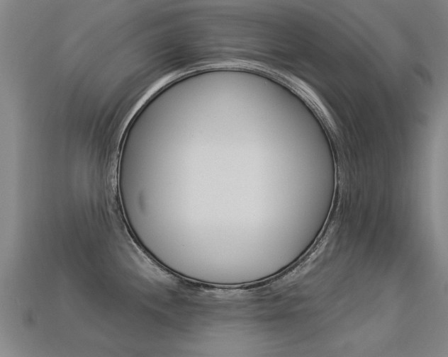 X0000113341244200909150959