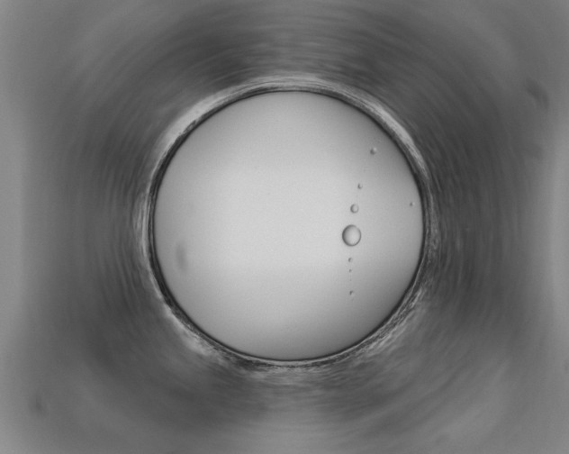 X0000113341245200909150959