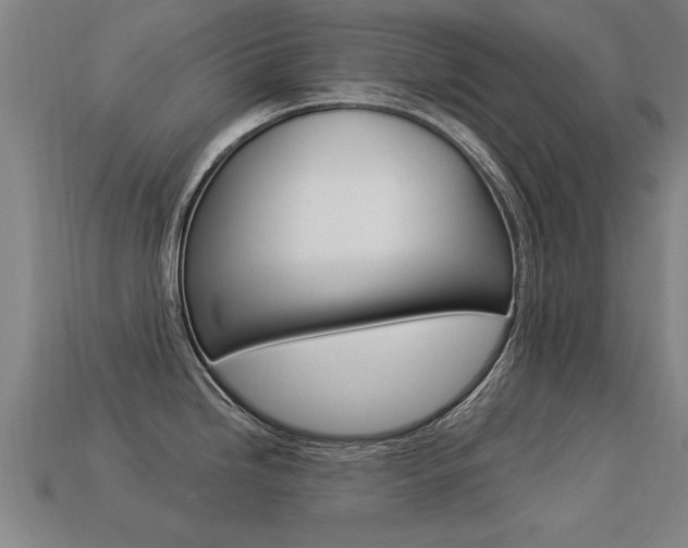 X0000113341246200909150959