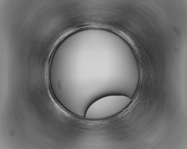 X0000113341247200909150959