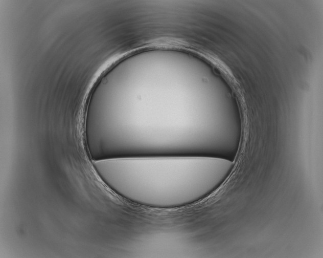 X0000113341248200909150959