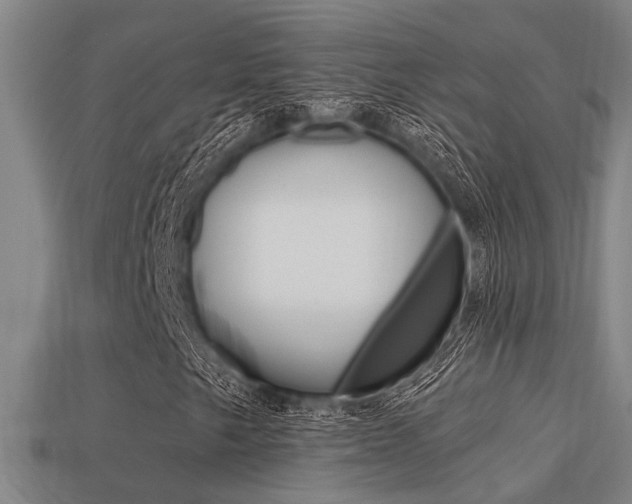 X0000113341249200909150958