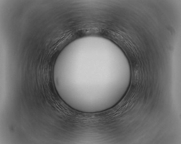X0000113341250200909150958