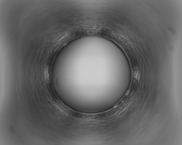 X0000113341252200909150958