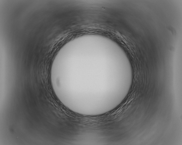 X0000113341253200909150958