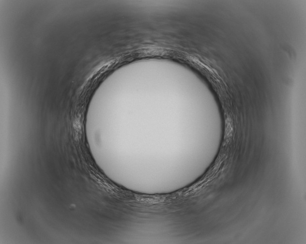 X0000113341254200909150958