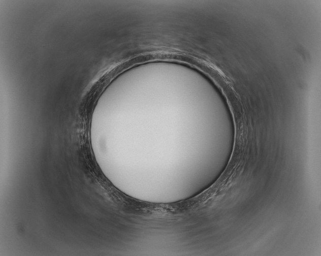 X0000113341255200909150958