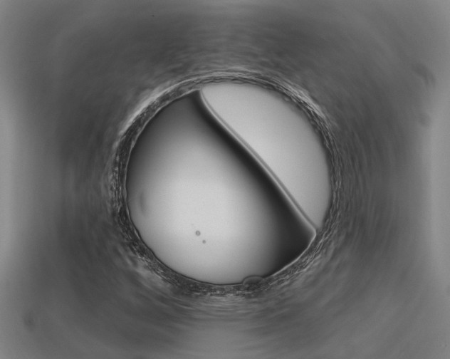 X0000113341256200909150958