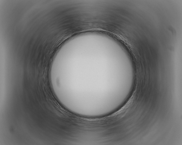 X0000113341257200909150958